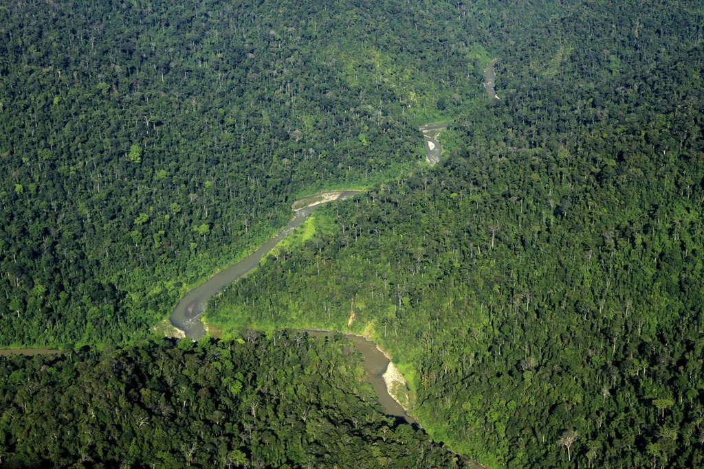 Taman_Nasional_Gunung_Leuser (1)