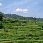 Sumatra & Mentawai tour 5-days-west-sumatra-travel
