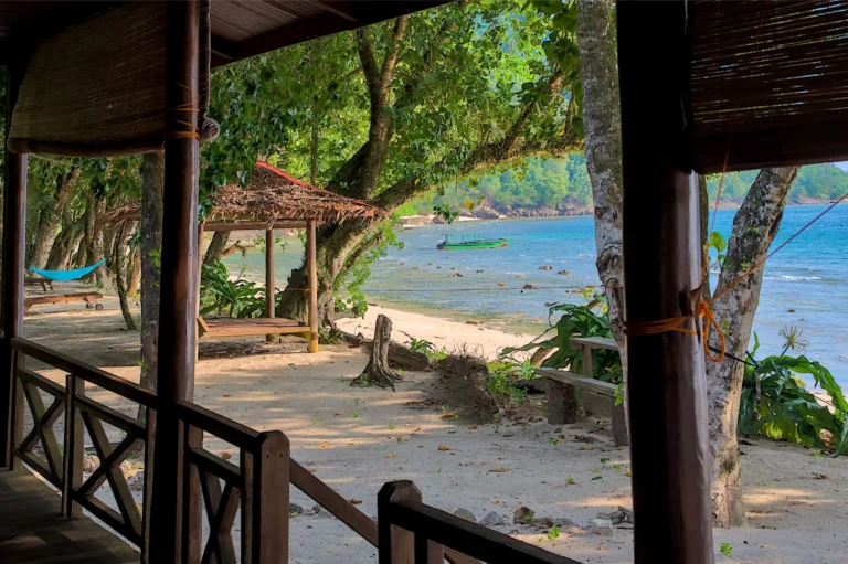 Sumatra & Mentawai tour