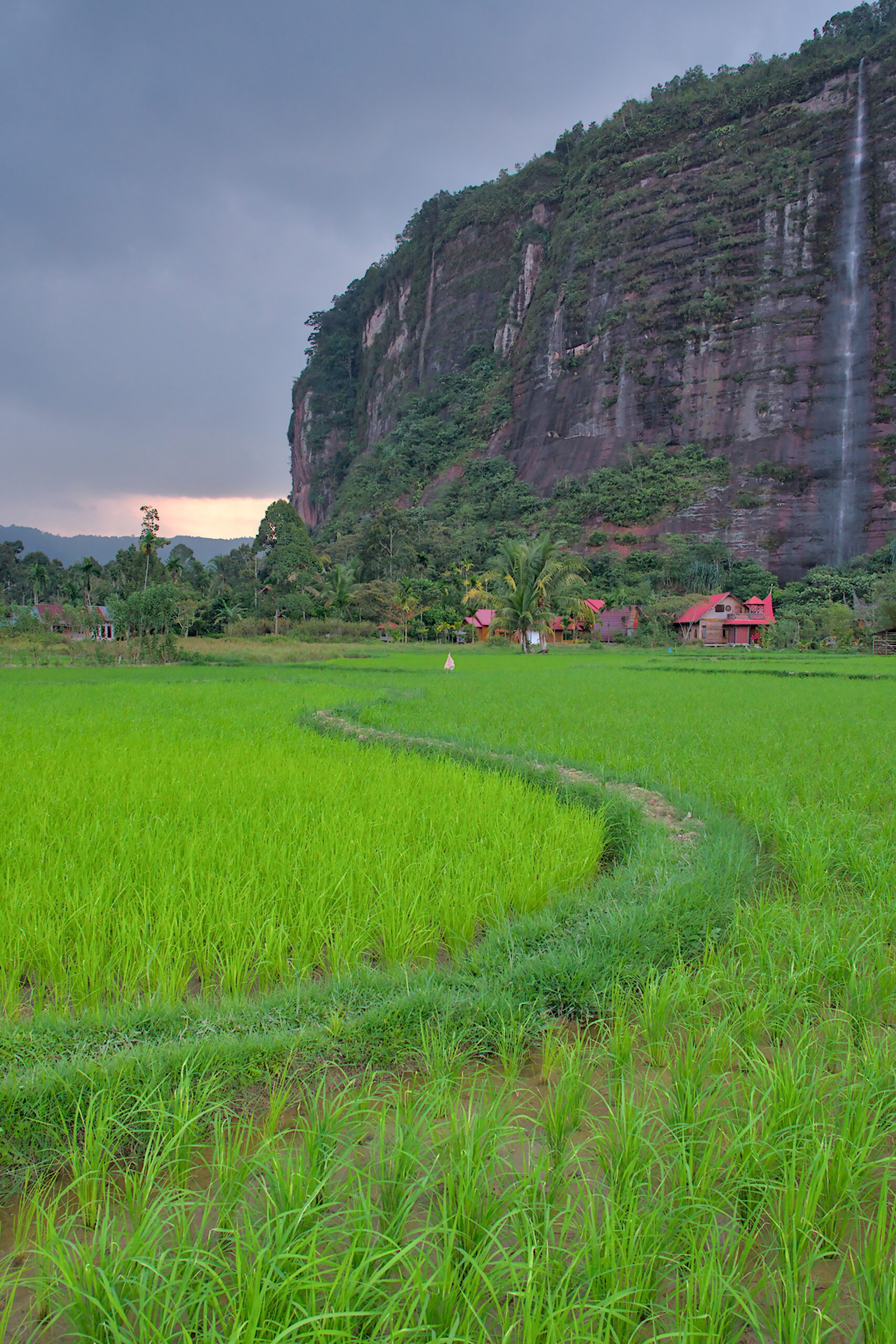Harau Valley and rice fields — West Sumatra