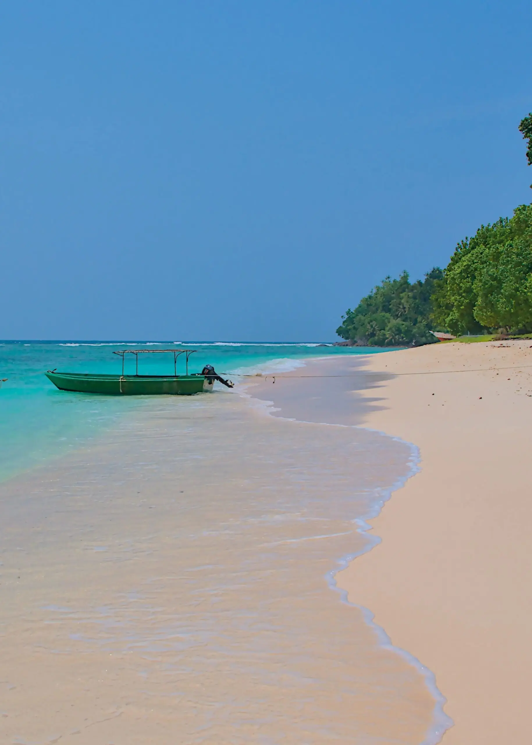 Home 3 Sumatra Nature Quest Pulau Weh coral reef diving